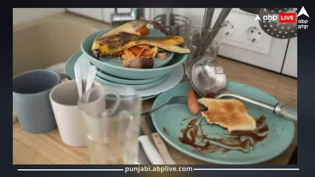 Kitchen Hygiene: Risks of Leaving Dirty Utensils Overnight ਰਾਤ ਨੂੰ ਜੂਠੇ ਭਾਂਡਿਆਂ ਨੂੰ ਛੱਡਣਾ ਖਤਰਨਾਕ, ਜਾਣੋ ਹੋਣ ਵਾਲੇ ਨੁਕਸਾਨਾਂ ਬਾਰੇ