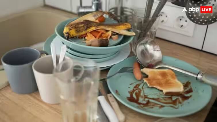 kitchen-hygiene-tips-side-effects-of-leaving-dirty-utensils-in-sink-overnight Health Tips: રાત્રે એંઠા વાસણો રાખવા બની શકે છે ખતરનાક, જાણો તેનાથી સ્વાસ્થ્ય પર કેવી પડે છે નકારાત્મક અસર