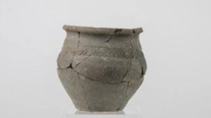 गांव को 10वीं शताब्दी में वाइकिंग युग के दौरान छोड़ दिया गया था. गांव में बर्तन, खाना पकाने के बर्तन और चक्की के पाट भी मिले हैं.