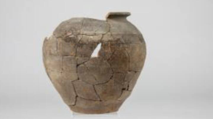 खुदाई वाली जगह पर आक्रोलॉजिस्ट को 9वीं से 10वीं शताब्दी के एक दर्जन सिक्के मिले है, जो कैरोलिंगियन साम्राज्य के समय के हैं.