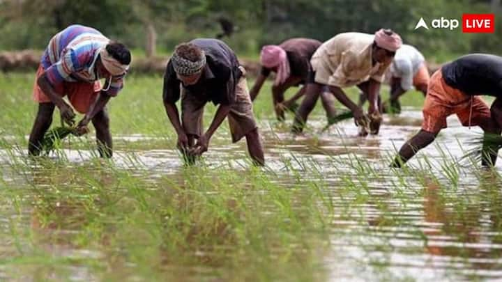 PM Kisan Yojana Benefits: पीएम किसान योजना की अगली किस्त से पहले बाहर किए जा सकते हैं यह किसान. चलिए आपको बताते हैं कहीं इस लिस्ट में आपका नाम भी तो नहीं शामिल.