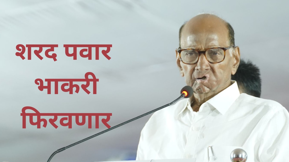 Sharad Pawar: शरद पवार विधानसभेच्या दारुण पराभवानंतर मोठा निर्णय घेण्याच्या तयारीत, थोडीथोडकी नव्हे तर सगळी भाकरी फिरवणार, नेमकं काय घडणार?