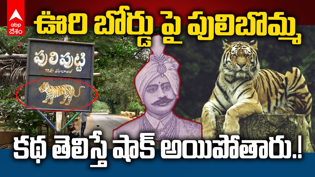 Puliputti Village Name History | పేరుతోనే ఫేమస్ అవుతున్న ఊరు ఇదే | ABP Desam