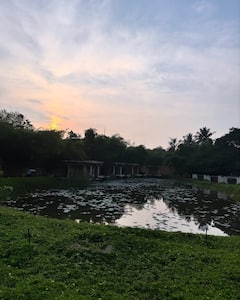 Samantha Ruth Prabhu Gives A Glimpse Into Her Holiday Mood. See Pics