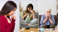 Health Tips: ગેસ,એસિડિટી અને અસ્થમા જેવી અનેક બીમારીઓ માટે કારગર છે આ વૃક્ષના પાન