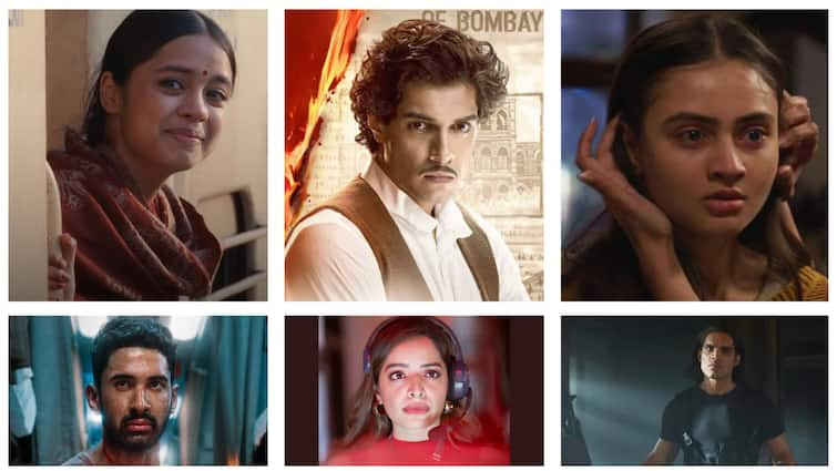 The Fresh Faces Of 2024: Actors Who Made Impressive Debuts In Bollywood Films And Web Series