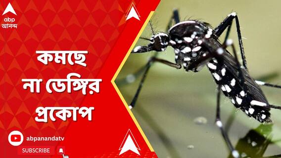 মাঝ ডিসেম্বরেও কমছে না ডেঙ্গির প্রকোপ, আক্রান্ত ৩০ হাজার পার