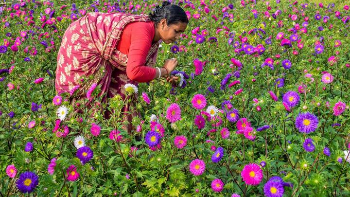 আগামী ২৪ ঘণ্টায় সর্বনিম্ন তাপমাত্রায় খুব একটা বড় পরিবর্তন নেই। সকাল সন্ধেয় শীতের আমেজ থাকলেও কার্যত শীত উধাও কলকাতায়।