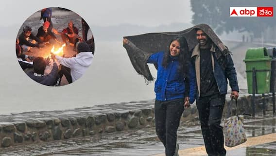 AP Weather Updates: ఏపీలో 2 రోజులు వర్షాలు, పలు జిల్లాలకు ఎల్లో అలర్ట్ - తెలంగాణలో చలి పంజా