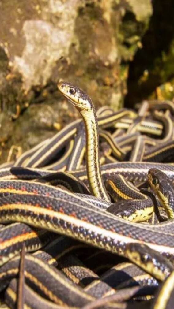 छत्तीसगढ़ की रहस्यमयी जगहें, जो आज भी हैं अनसुलझी