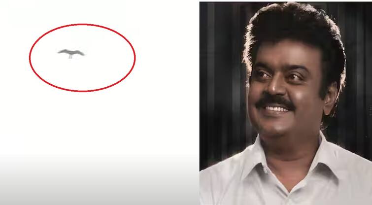 Garuda flew over Vijayakanths memorial today volunteers shed tears! Vijayakanth: இன்றும் விஜயகாந்த் நினைவிடத்துக்கு மேலே பறந்த கருடன் கண்ணீர் விட்ட தொண்டர்கள்!