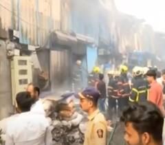 Mumbai Fire: मुंबईतील साकीनाका परिसरात भीषण आग; दोन गोदामाने घेतला पेट