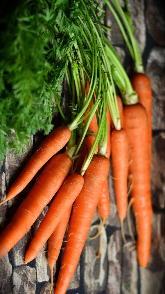 கேரட் பற்றிய 5 சூப்பர் உண்மைகள்