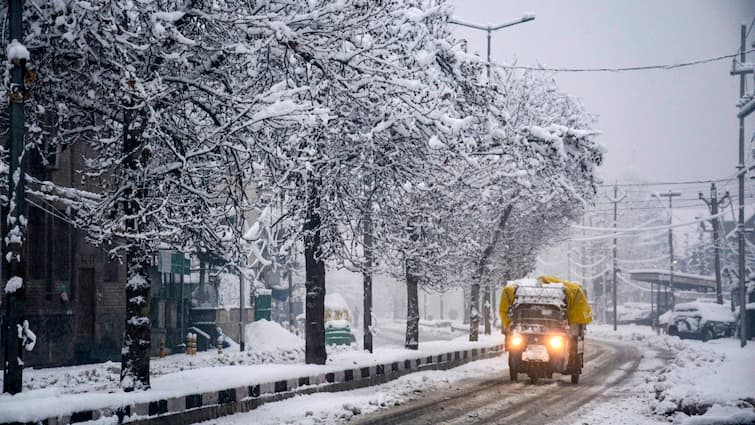 As North India Braces For Cold Wave From Tomorrow, Delhi Logs Century-High Dec Rainfall, J-K Season's Heaviest Snowfall