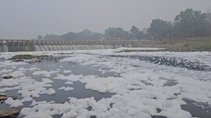 गेल्या आठवड्याभरापासून पाण्यातील प्रदूषण वाढू लागलंय.