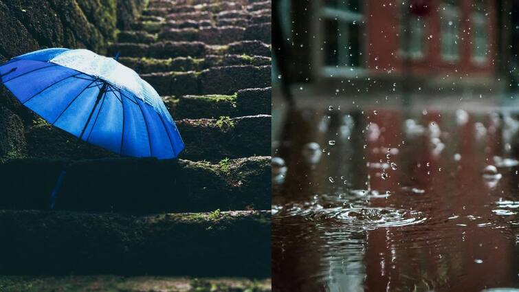 Tamil Nadu Moderate Rain Will be several districts IMD Chennai says TN Rain: ஜன.4-ம் தேதி வரை மழை இருக்கு; எந்தெந்த மாவட்டங்கள்? வானிலை அப்டேட்!