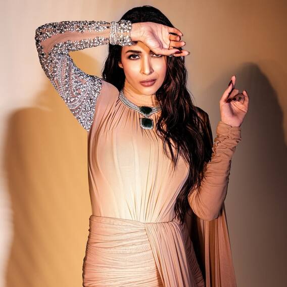 মালাইকার প্রিয়, আপনিও বাড়িতে বানিয়ে নিন নিরামিষ এই পনির ঠেচাঁ