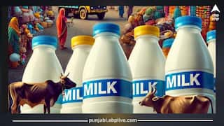 Punjab News: ਦੁੱਧ ਦੀਆਂ ਕੀਮਤ 'ਚ 25 ਰੁਪਏ ਪ੍ਰਤੀ ਕਿਲੋ ਫੈਟ ਦਾ ਵਾਧਾ! ਮਿਲਕਫੈੱਡ ਨੇ ਤੋੜੇ ਰਿਕਾਰਡ, ਰੋਜ਼ਾਨਾ 20 ਲੱਖ ਲਿਟਰ ਦੁੱਧ ਖਰੀਦਿਆ 