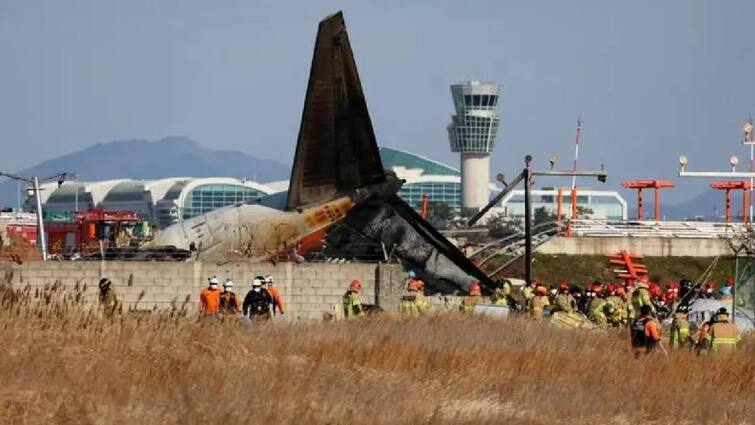 South Korea plane crash live: 177 passengers confirmed dead out of 181 தென் கொரியாவை உலுக்கிய கோர விபத்து - விமானத்தில் பயணித்த 181 பேரில் 177 பேர் பலி! 