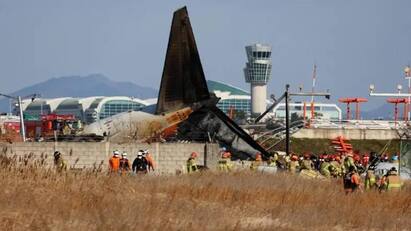 South Korea plane crash live: 177 passengers confirmed dead out of 181 தென் கொரியாவை உலுக்கிய கோர விபத்து - விமானத்தில் பயணித்த 181 பேரில் 177 பேர் பலி! 