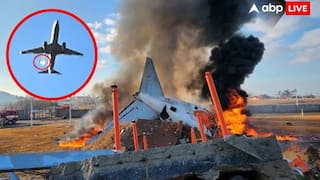 Plan Crashes 2024: நெஞ்சை உலுக்கிய, 2024ன் பயங்கரமான விமான விபத்துகள் - நூற்றுக்கணக்கில் கொத்து கொத்தாக பலி