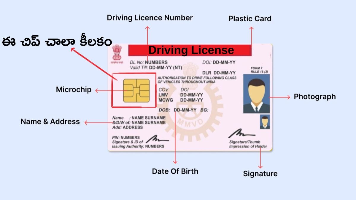 Driving License: డ్రైవింగ్ లైసెన్స్‌ కార్డ్‌పై ఉండే చిప్‌లో కీలక సమాచారం, అందుకే అది చాలా ముఖ్యం