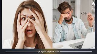 Healthy Eyes: ਅੱਖਾਂ ਨੂੰ ਸਿਹਤਮੰਦ ਰੱਖਣ ਲਈ ਰੋਜ਼ਾਨਾ ਖਾਓ ਇਹ ਫਲ, ਅੱਖਾਂ ਦੀ ਰੋਸ਼ਨੀ ਬਾਜ਼ ਵਾਂਗ ਹੋ ਜਾਏਗੀ ਤੇਜ਼!