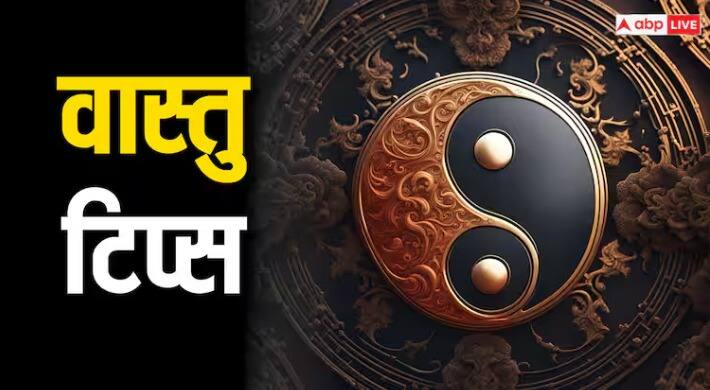 (टीप : वरील सर्व बाबी एबीपी माझा केवळ माहिती म्हणून वाचक-प्रेक्षकांपर्यंत पोहोचवत आहे. यातून एबीपी माझा कोणताही दावा करत नाही.)