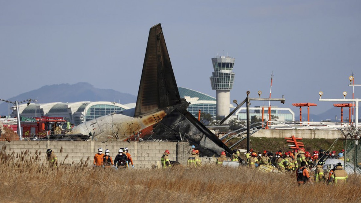 'Saw Flash Of Light...Then Loud Bang': Eyewitnesses Recount Moment Leading To South Korea Plane Crash