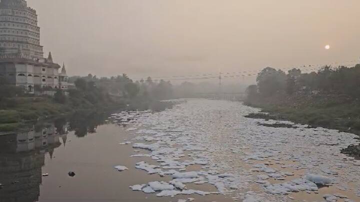 परिणामी आळंदीत हे असे चित्र गेल्या आठ वर्षांपासून पहायला मिळतंय.