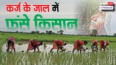 अनाज की पैदावार में टॉप पर, फिर भी कर्ज में क्यों डूब रहे हैं हरियाणा-पंजाब के किसान?