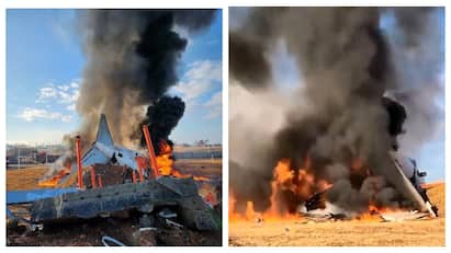 South Korea Plane Crash 179 death, only 2 survive know full details here எங்கும் மரண ஓலம்! 179 பேர் தீயில் கருகி உயிரிழப்பு! சோகத்தில் மூழ்கிய தென்கொரியா