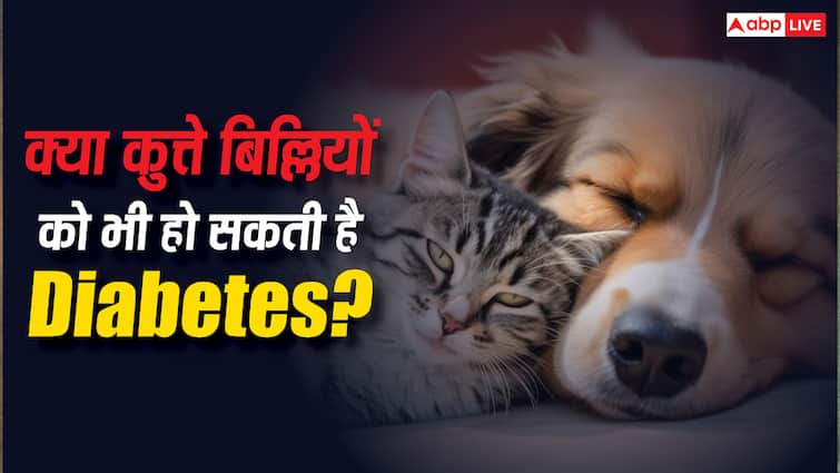 Can dogs and cats also suffer from diabetes, how to detect it?