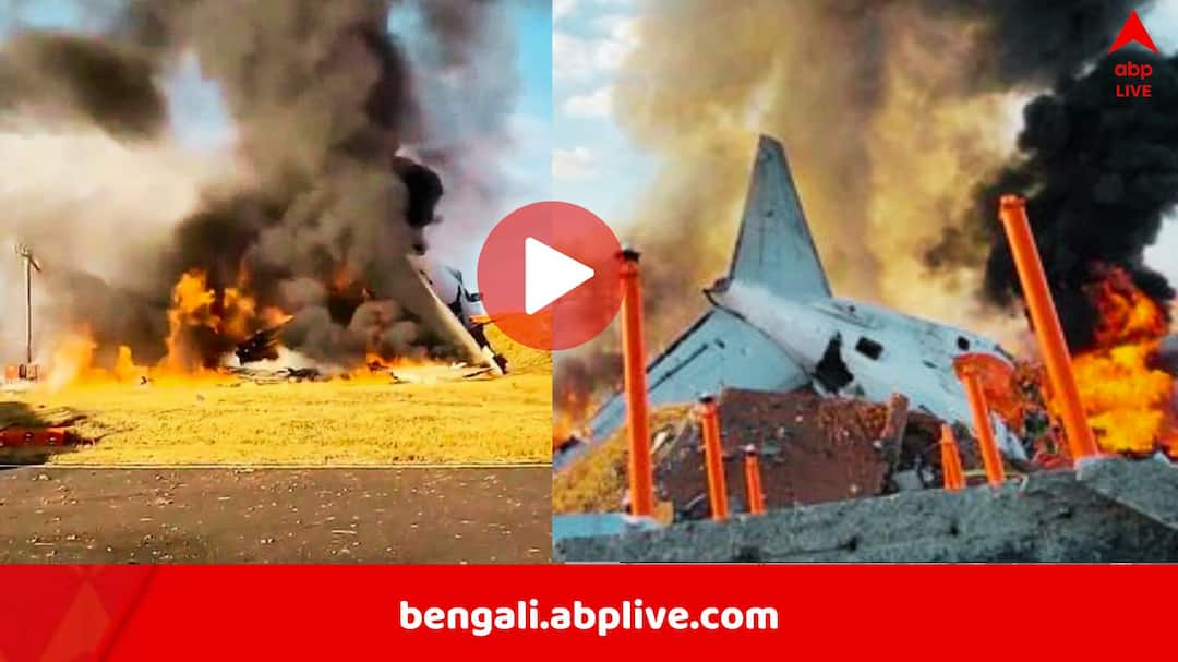 Plane With 181 People On Board Crashes In South Korea many feared dead Plane Crash in south Korea: বিমানবন্দরেই ভেঙে পড়ল বিমান, ১৮১ জন যাত্রী ছিলেন, বরাত জোরে বাঁচলেন ২