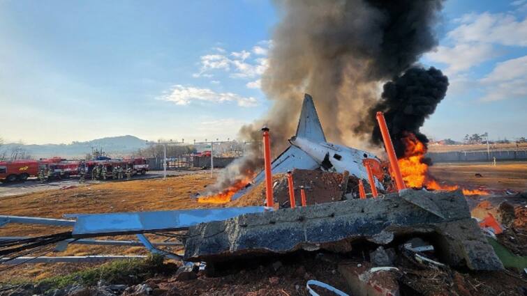 South Korea Plane Crash Survivor in Shock Says What happened why i am here दक्षिण कोरिया विमान हादसे में बचे शख्स को नहीं लगा तबाही का अंदाजा! होश आते ही पूछा- कुछ हुआ है क्या?