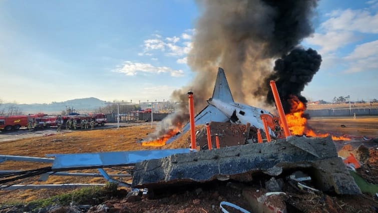 South Korea Plane Crash Survivor in Shock Says What happened why I am here | The person who survived the South Korea plane crash had no idea of ​​the devastation! asked as soon as he regained consciousness