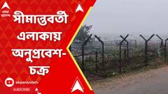 Bangladesh News Update: সিন্ডিকেট তৈরি করে নদিয়ার সীমান্তবর্তী এলাকায় অনুপ্রবেশ-চক্র।