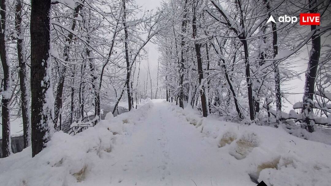 Weather Update: यूपी, दिल्ली-NCR, पंजाब, हरियाणा वालों हो जाओ तैयार! 5 डिग्री तक लुढ़कने वाला है पारा, इस दिन से पड़ेगी कड़ाके की ठंड Weather Update temperature drop by 3 to 5 degree in delhi ncr UP himachal Punjab Cold wave Snowfall dense fog heavy Rain in North India Weather Update: यूपी, दिल्ली-NCR, पंजाब, हरियाणा वालों हो जाओ तैयार! 5 डिग्री तक लुढ़कने वाला है पारा, इस दिन से पड़ेगी कड़ाके की ठंड