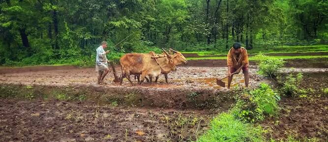 ફોર્મર રજિસ્ટ્રેશન માટે ખેડૂતનો નોંધાયેલ મોબાઈલ નંબર, આધાર કાર્ડની નકલ અને જમીનના દસ્તાવેજની જરૂર પડે છે. ખેડૂતના નામની સાથે તેના પિતાનું નામ, માલિકીના તમામ નંબર, શેરધારકોના નામ, આધાર કાર્ડ અને ઈ-કેવાયસી સંબંધિત માહિતી આપવાની રહેશે.