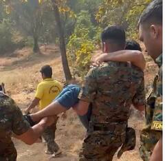 ट्रेकिंगसाठी गेलेल्या 10 तरुणांवर मधमाशांचा हल्ला, संजय गांधी राष्ट्रीय उद्यानात घडली घटना