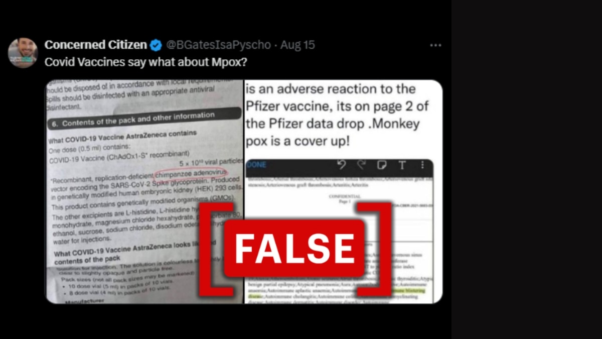 Elections To Vaccines, Policy To Climate: Looking Back At 2024 Misinformation Landscape