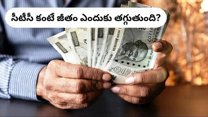 know the difference between CTC and In hand salary which deductions in pay slip makes difference CTC Vs Take Home Salary: సీటీసీకి, చేతికొచ్చే జీతానికి మధ్య ఇంత తేడా ఎందుకు, పే స్లిప్‌లో ఎలాంటి కటింగ్స్‌ ఉంటాయ్‌?