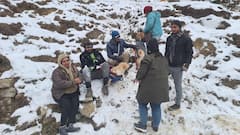 चोपता के बुग्यालों में बर्फबारी ने किया मंत्रमुग्ध, नए साल के जश्न के लिए मिनी स्विट्जरलैंड में सैलानियों की भीड़