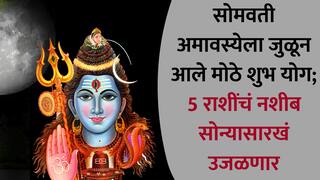 Astrology : आज सोमवती अमावस्येच्या दिवशी जुळून आले मोठे शुभ योग; 5 राशींची होणार भरभराट, अचानक धनलाभाचे संकेत