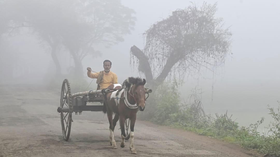 UP Weather: यूपी में ठंड का सितम, नोएडा-गाजियाबाद समेत 65 जिलों में अलर्ट, जानें- मौसम का पूरा अपडेट UP Weather Update Today 30 December IMD Forecast cold day lucknow noida meerut Ghaziabad Ka Mausam UP Weather: यूपी में ठंड का सितम, नोएडा-गाजियाबाद समेत 65 जिलों में अलर्ट, जानें- मौसम का पूरा अपडेट