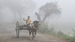 यूपी में ठंड का सितम, नोएडा-गाजियाबाद समेत 65 जिलों में अलर्ट, जानें- मौसम का पूरा अपडेट