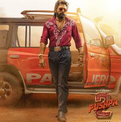 Box Office Collection: 'पुष्पा 2' ने चौथे संडे की छप्परफाड़ कमाई, 'बेबी जॉन' 5 करोड़ भी नहीं कमा पाई, 'मुफासा' ने दिखाया कमाल