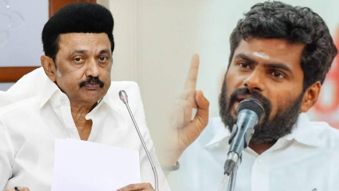 இதை மேடையில் எப்படி பேச முடிகிறது முதல்வர் அவர்களே? -  கொந்தளிக்கும் அண்ணாமலை