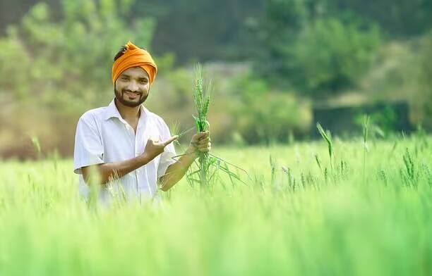 જો તમે કિસાન સન્માન નિધિના તમામ આગામી હપ્તાઓનો લાભ મેળવવાનું ચાલુ રાખવા માંગતા હોવ તો ઈ-કેવાયસી અને જમીનનું વેરિફિકેશન કરાવવી જરૂરી છે. જો તમે હજુ સુધી આ કર્યું નથી તો જલદી કરો. જેથી કરીને PM કિસાન સન્માન નિધિનો આગામી હપ્તો તમારા બેન્ક ખાતામાં કોઈ પણ પ્રકારના અટકાવ્યા વિના આવશે.