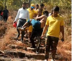 ट्रेकिंगसाठी गेलेल्या 10 तरुणांवर मधमाशांचा हल्ला, संजय गांधी राष्ट्रीय उद्यानात घडली घटना